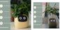 Smart Planter Endless Fun Over 49 Rich Expressions 7 Smart Sensors And AI Chips Make Raising Plants Easy And Fun